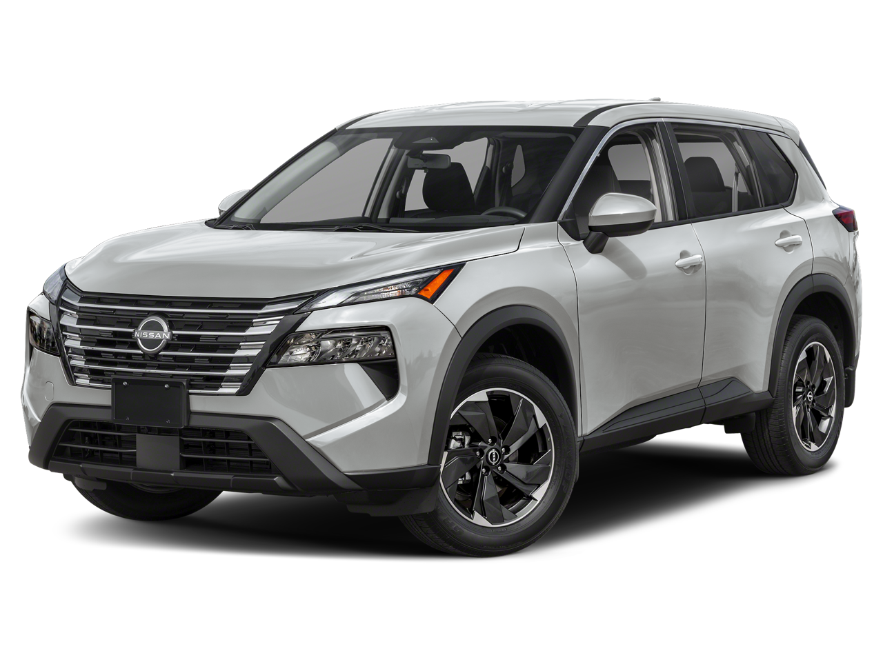 2024 Other Rogue SV