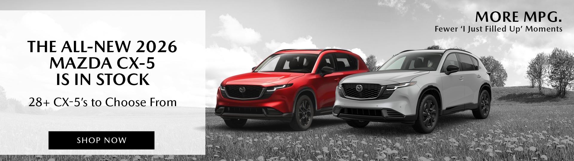 28+ CX-5’s to Choose From