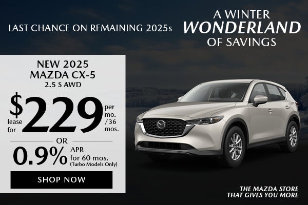 2025 Mazda CX-5 2.5 S AWD
